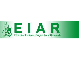 Ethiopian Institute Of Agricultural Research